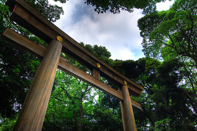 harajuku tokyo photowalk meijijingu torii